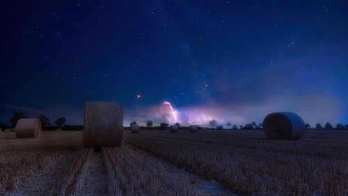 field-4707277_1920.jpg