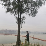IMG_20201025_160739