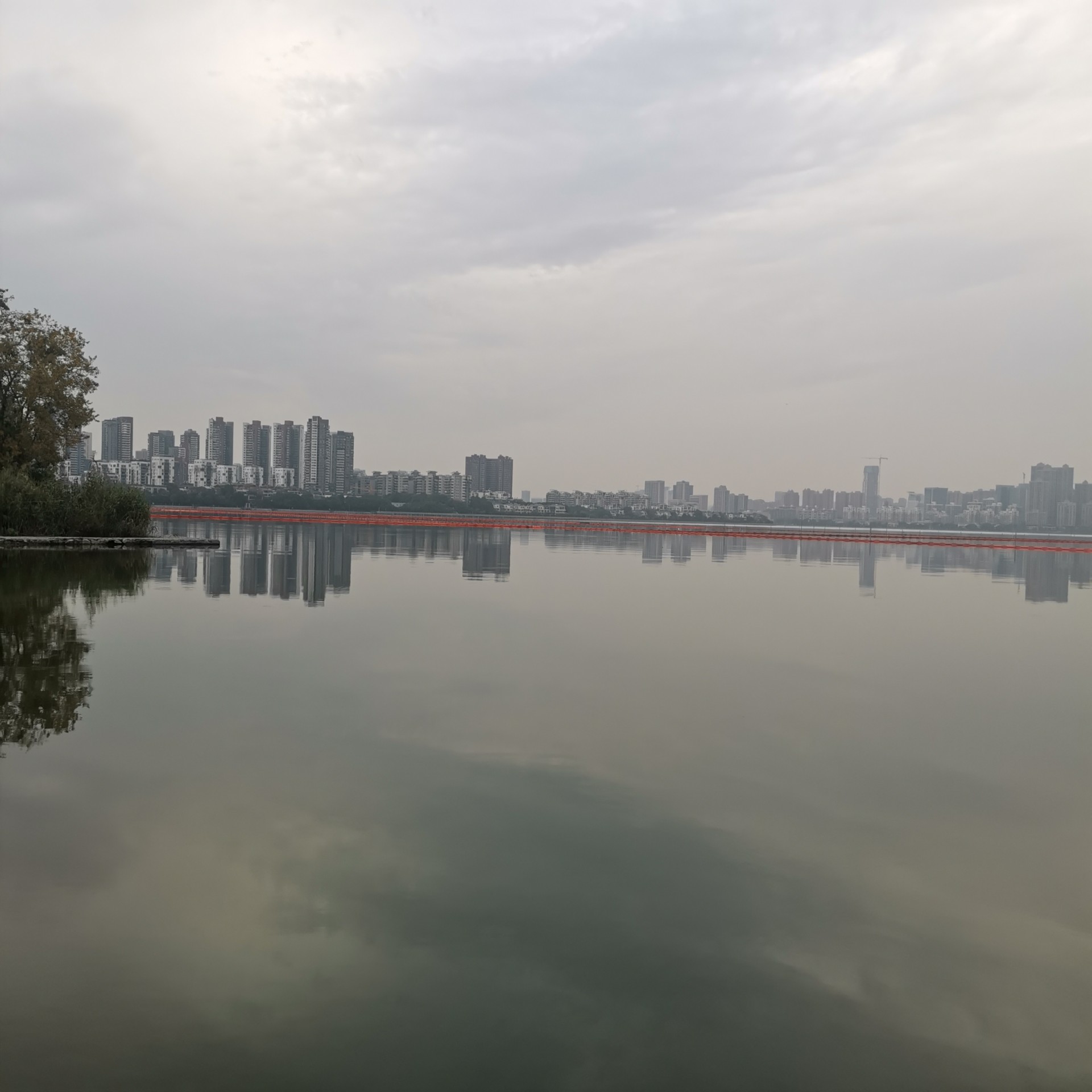 IMG_20201025_160750.jpg