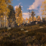 image85e0800f4bfae110.png