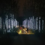 IMG_20201103_205147